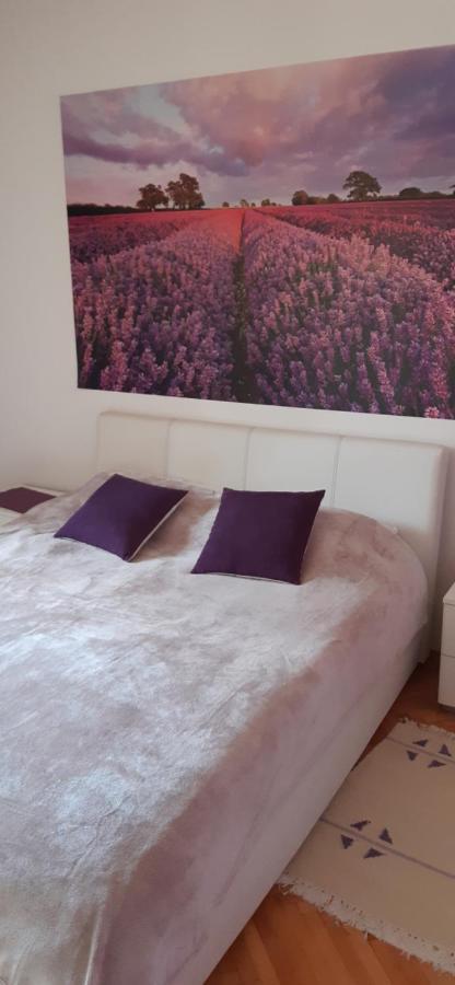 Apartmani Amira Τρέμπινιε Εξωτερικό φωτογραφία